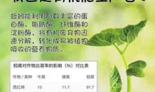 广西诚德蛋白虫养殖是真的吗 蛋白虫养殖是真的吗